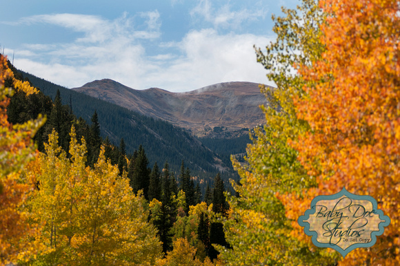 Fall Colorado Colors