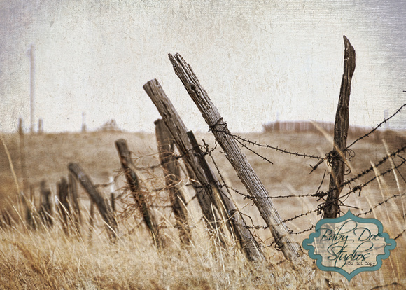 Old Fence on CR 3321, Buena Vista, CO