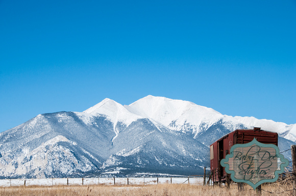 Mt. Princeton from the Cogan Ranch