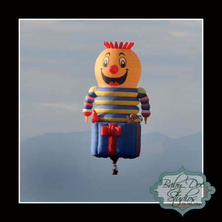 Balloonavista in Buena Vista, CO
